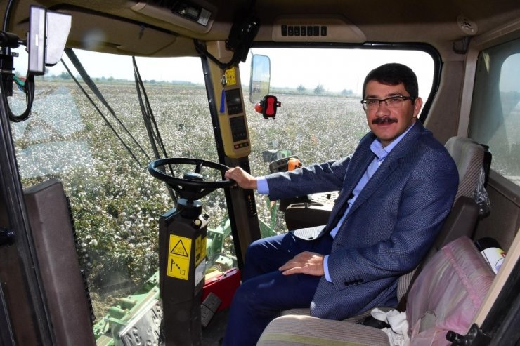 Şehzadeler’de Pamuk Hasadına Başlandı