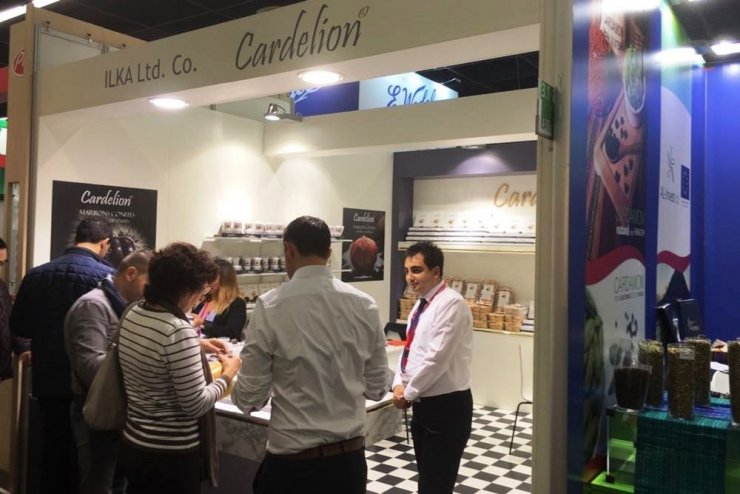 İlka Şekerleme Kuzey Amerika Pazarında