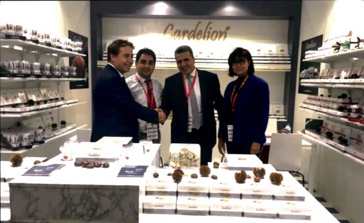 İlka Şekerleme Kuzey Amerika Pazarında