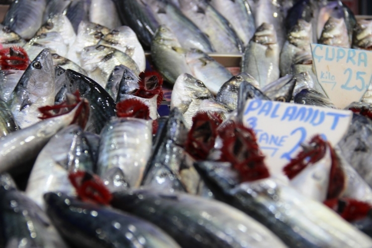 Tezgahlar Palamutla Şenlendi