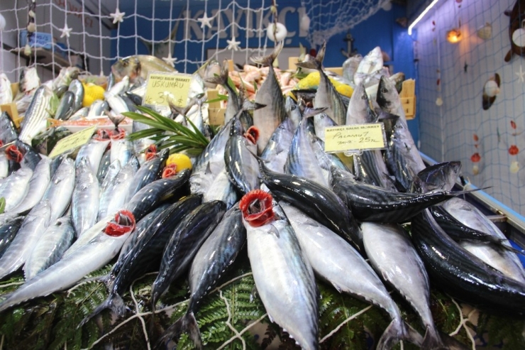 Tezgahlar Palamutla Şenlendi