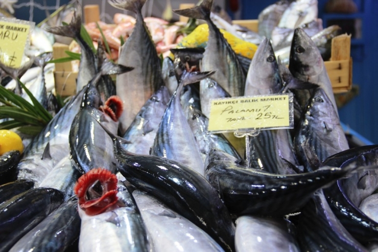 Tezgahlar Palamutla Şenlendi