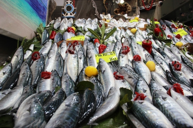 Tezgahlar Palamutla Şenlendi