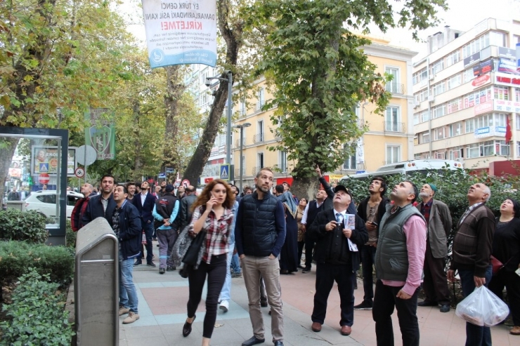 Ağaca Takılan Kuş, İtfaiye Ekiplerini Seferber Etti