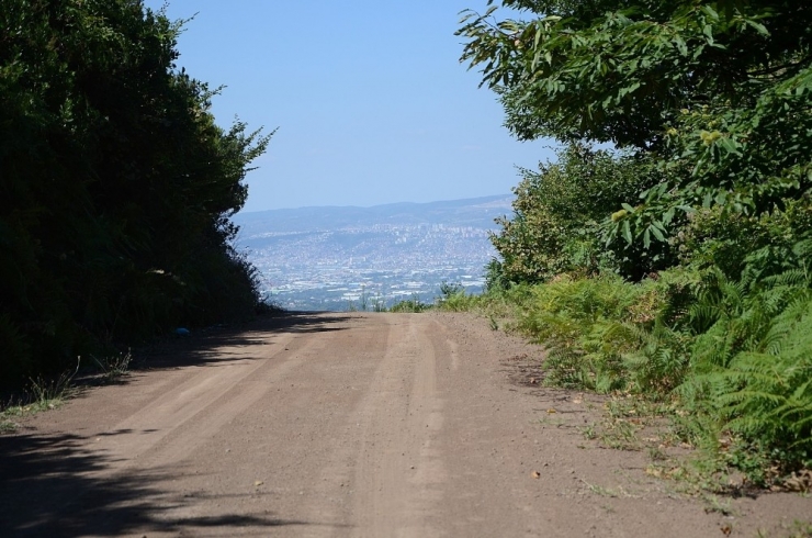 Türkiye’nin İlk Ekoturizm Alanı Kartepe’de