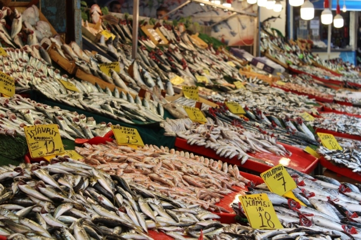 Kocaeli’nde Hamsi 15 Tl, Palamudun Tanesi 10 Liradan Alıcı Buluyor