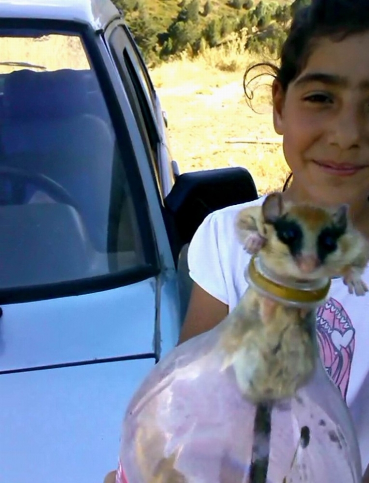 ’Yediuyur’ Su İçmek İstediği Pet Şişesinde Mahsur Kaldı