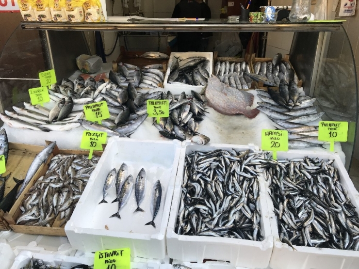 Karadeniz’de Hamsi Tezgahlarda 20 Tl