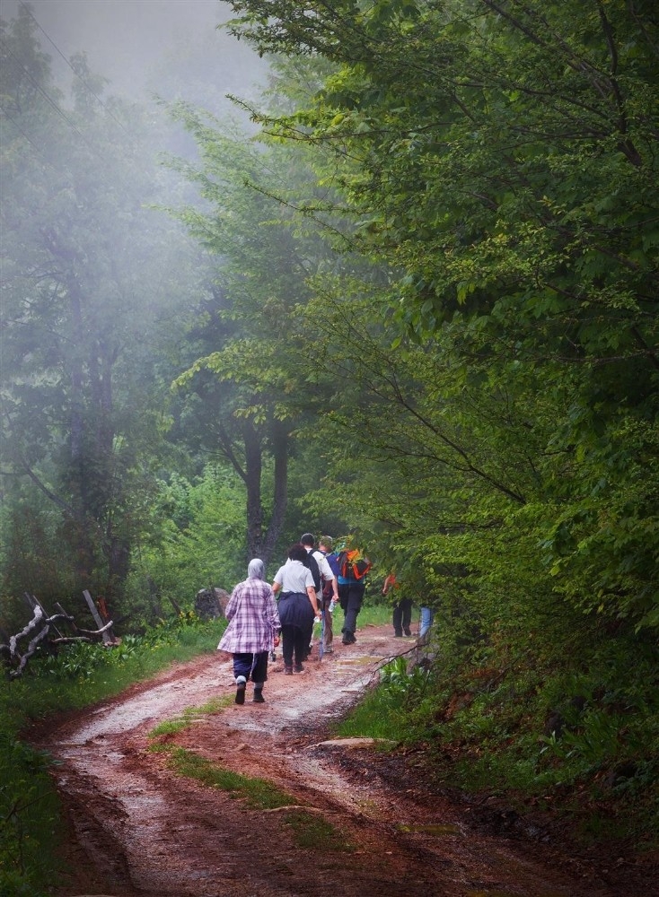 Akyazı’nın Yaylaları Doğa Yürüyüşleriyle Şenleniyor