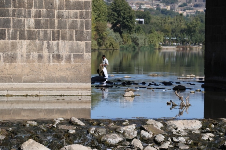 Dicle’de Toplu Balık Ölümleri