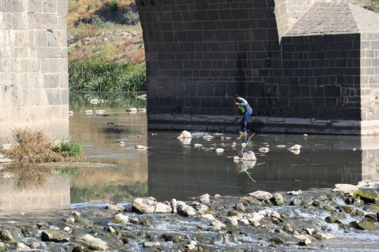 Dicle’de Toplu Balık Ölümleri