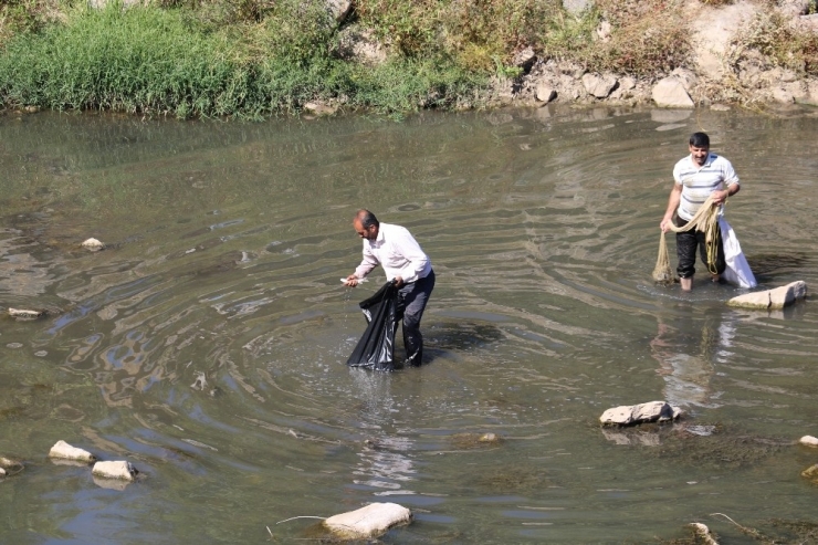 Dicle’de Toplu Balık Ölümleri