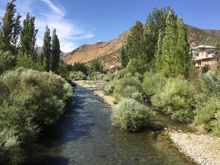 Beytüşşebap’ta Sonbahar Güzelliği