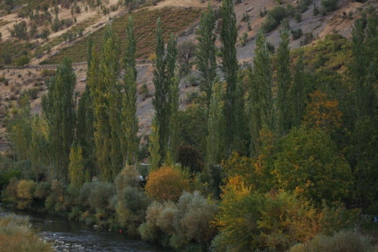Beytüşşebap’ta Sonbahar Güzelliği
