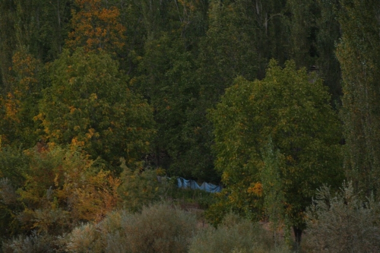 Beytüşşebap’ta Sonbahar Güzelliği
