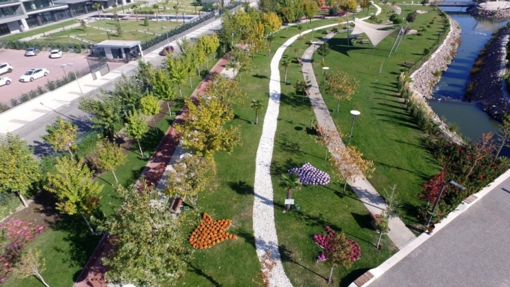 Kasımpatılar Manisa’yı Renklendirdi