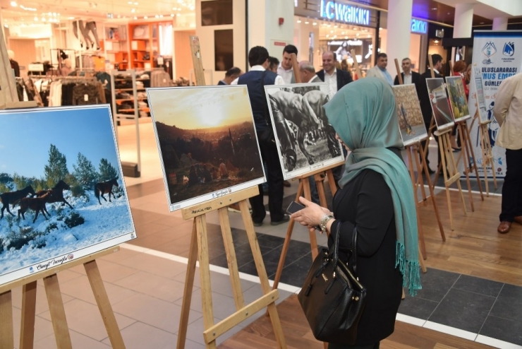 "Sevelim Sevilelim" Fotoğraf Sergisi Açıldı