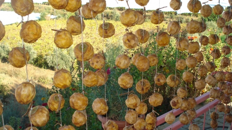 Sarıgöl’de Cennet Elmasının Kurutulmasına Başlandı
