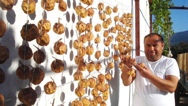 Sarıgöl’de Cennet Elmasının Kurutulmasına Başlandı