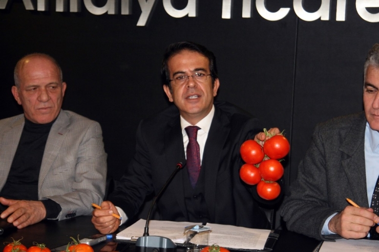 Atb Başkanı Çandır: "Rusya’nın Domates İhracatı Açıklaması Beklentimizi Karşılamıyor"