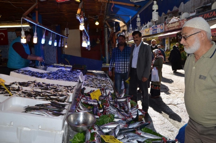 Trabzon’da Sezonun En Bol Hamsi Ve Palamut Avı Yüzleri Güldürdü