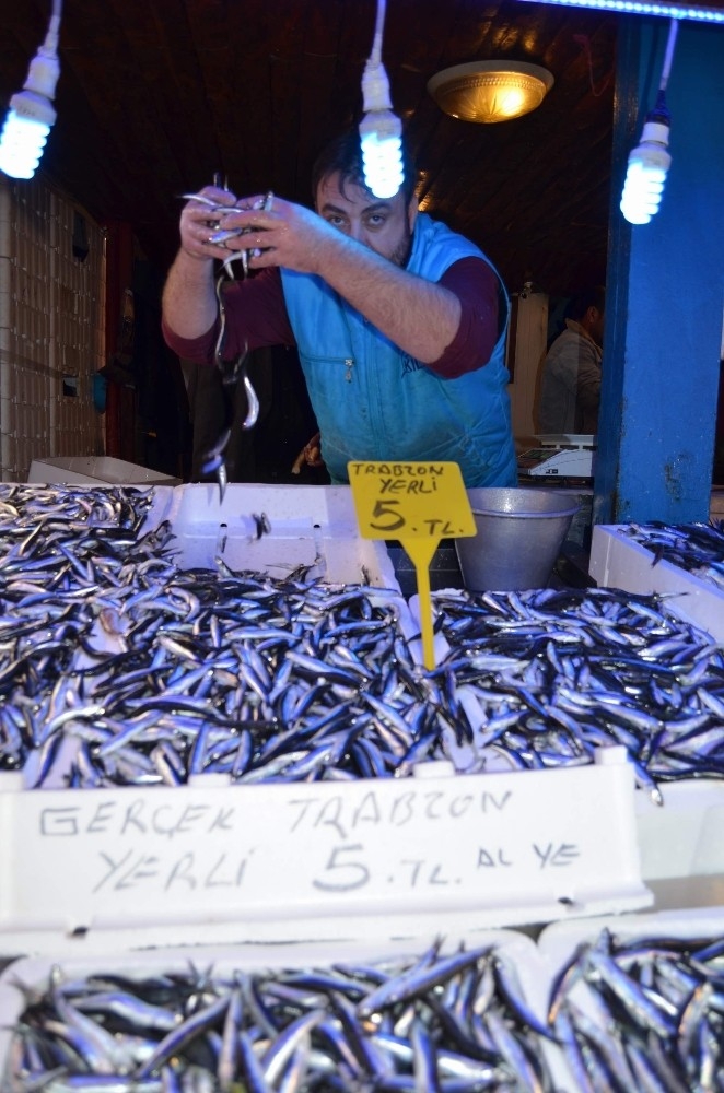 Trabzon’da Sezonun En Bol Hamsi Ve Palamut Avı Yüzleri Güldürdü