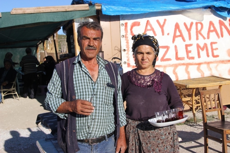 Gözlemeci Çiftin Gözleri Yollarda