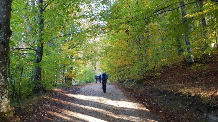 Bursalı Dağcılar Domaniç Ormanları’nda