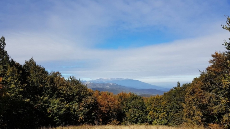 Bursalı Dağcılar Domaniç Ormanları’nda
