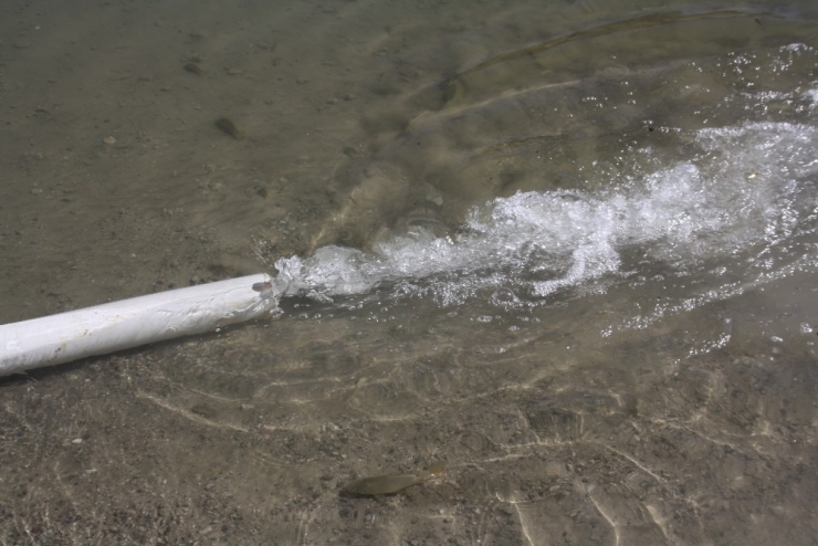 Burdur’da İki Baraja 350 Bin Yavru Sazan Salındı