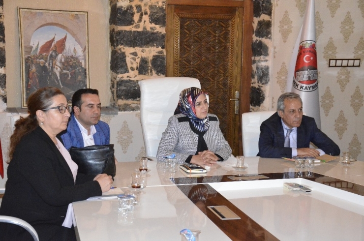 Siverek’te ’Organik Köy’ Projesi Çalışmaları Başladı