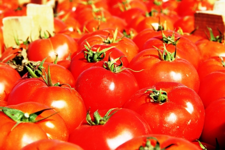 Meşhur Çanakkale Domatesi 10 Günde 3 Kat Zamlandı