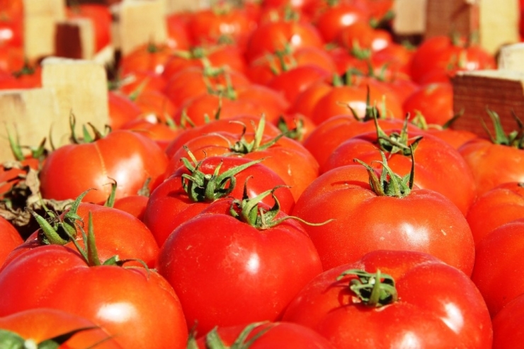 Meşhur Çanakkale Domatesi 10 Günde 3 Kat Zamlandı