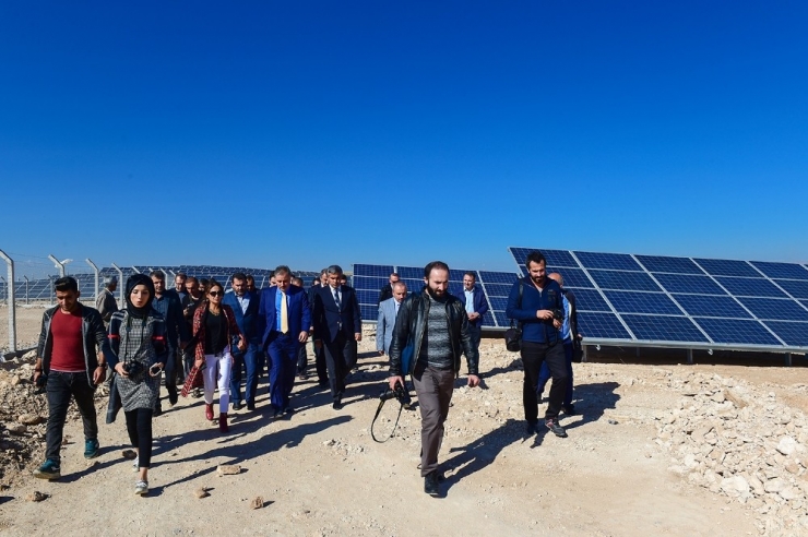 Büyükşehir Güneşten Para Kazanacak