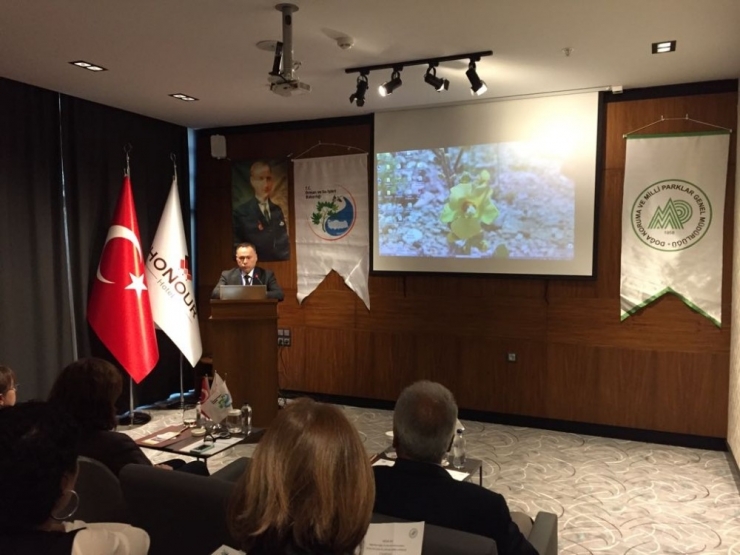 Nesli Tükenmekte Olan Türlerle İlgili Çalıştay Düzenlendi