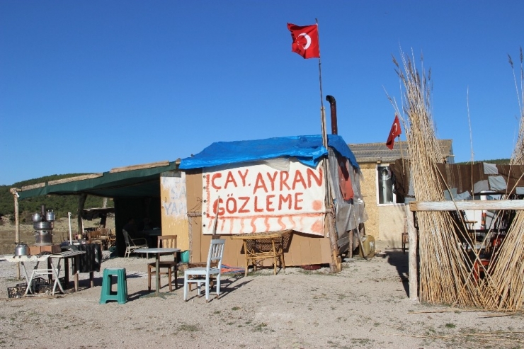 Gözlemeci Çiftin Gözleri Yollarda