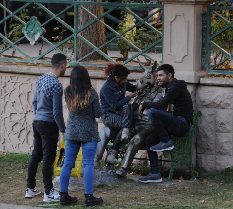 Çekirdek Çitleyen Eşekle Fotoğraf Yarışına Giriyorlar