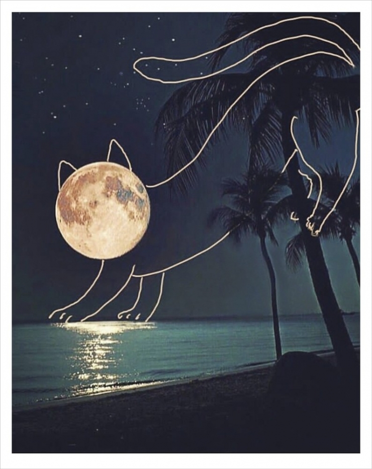 Gürbüz Doğan Ekşioğlu “Benim Kedilerim” İle Çağdaş Sanatlar Galerisinde