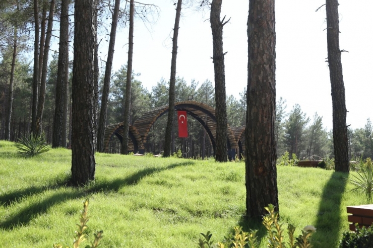 Mesire Alanında Hayvanlara Yaşam Alanı