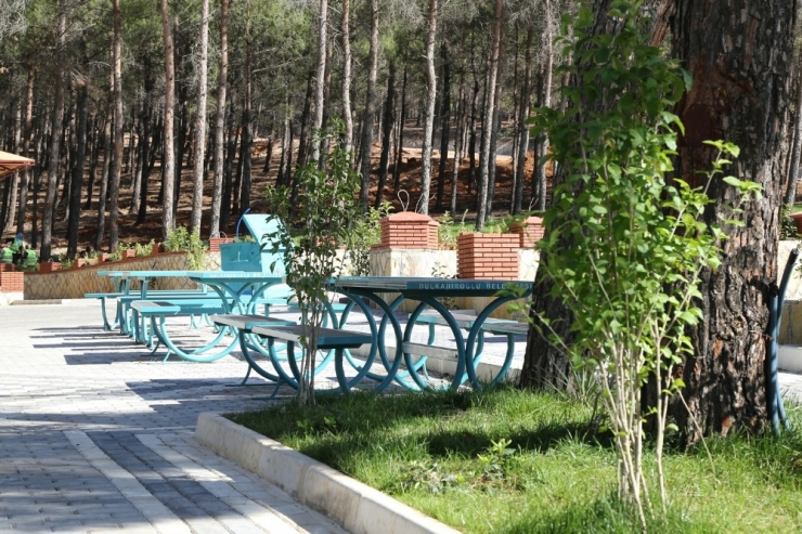 Mesire Alanında Hayvanlara Yaşam Alanı