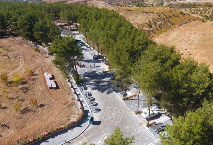 Mesire Alanında Hayvanlara Yaşam Alanı