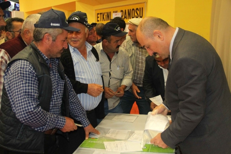 2 Bin Çifçiye 2 Bin 500 Ton Tohum Dağıtıldı