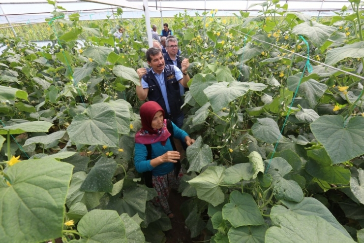 Orman Köylüsüne 2,5 Milyon Tl’lik Destek