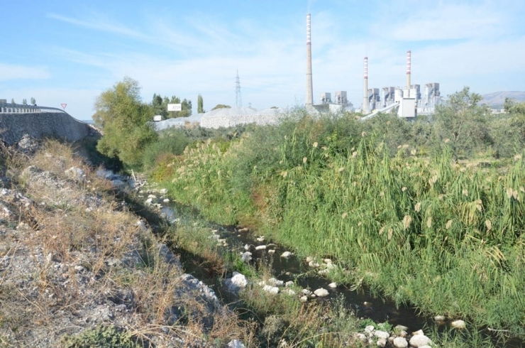 Fabrika Atıkları Balıkları Oksijensiz Bıraktı