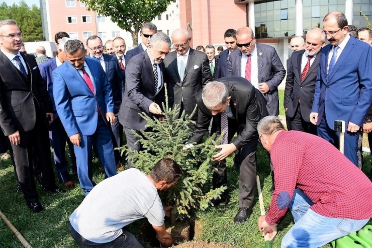 Bakan Demircan Ve Samsun Protokolü Çam Fidanı Dikti