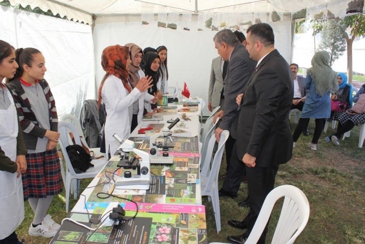 Bilimi Avrupa’ya Müslümanlar Taşıdı