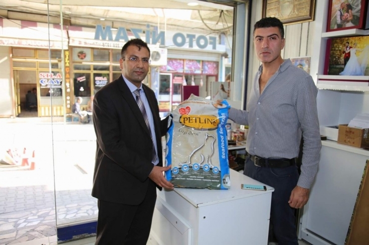 Siirt’te Sokak Hayvanları Unutulmadı