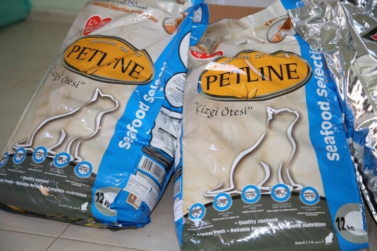 Siirt’te Sokak Hayvanları Unutulmadı