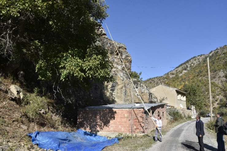 Gümüşhane’de Ceviz Hasadı Tamamlanmak Üzere