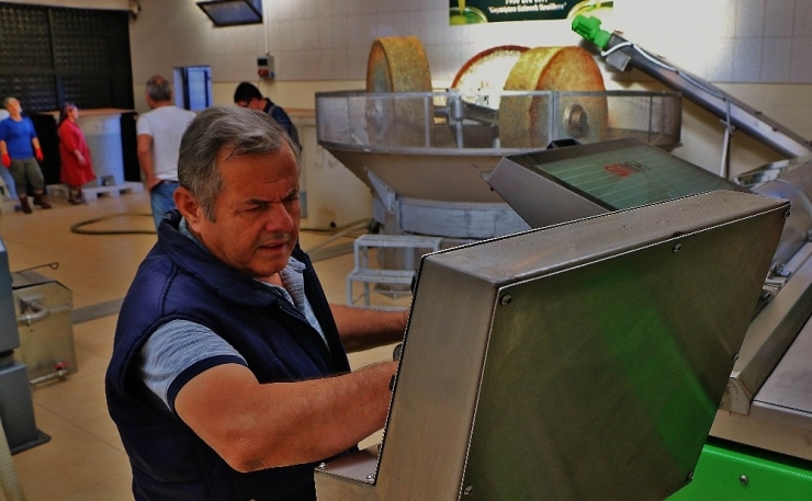 Çiğ Burun Yağı Şifa Kaynağı